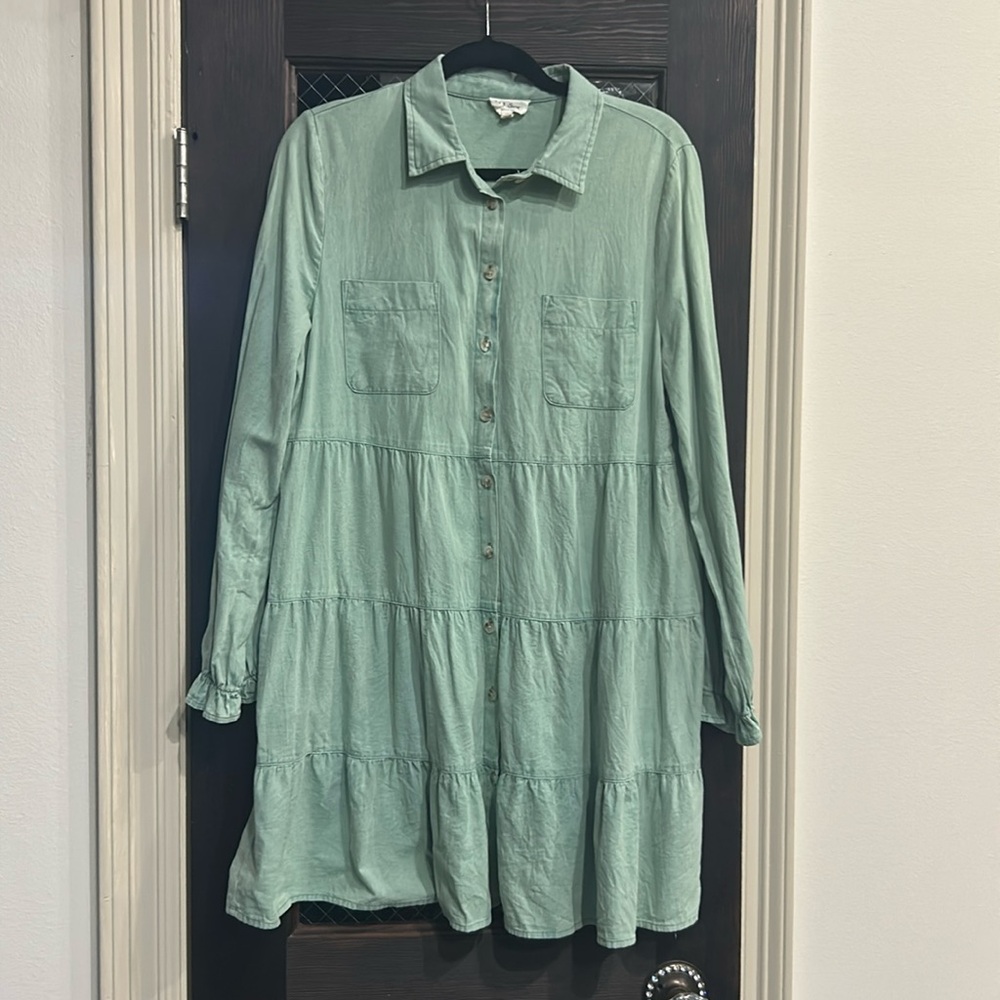 Light mint greet large dress. 143 Story by Line Up.